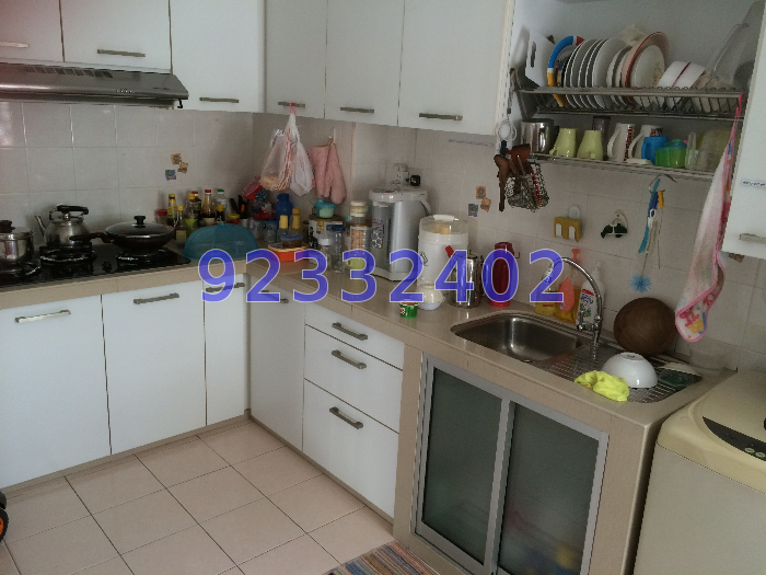 509B WELLINGTON VIEW (Sembawang), HDB 4 Rooms #14672042